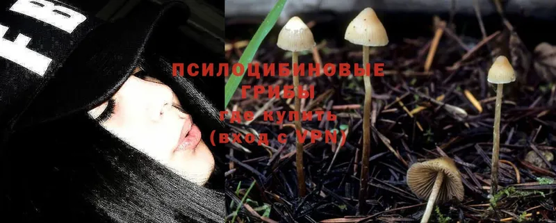 Псилоцибиновые грибы MAGIC MUSHROOMS  Бирюсинск 